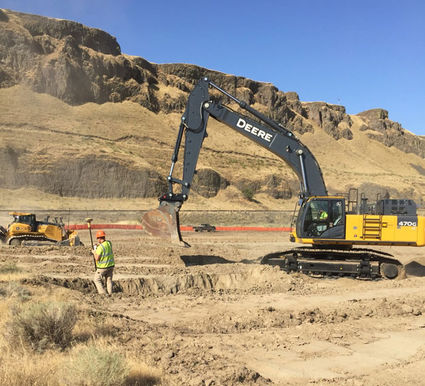 s_topTEMP425x425-1144