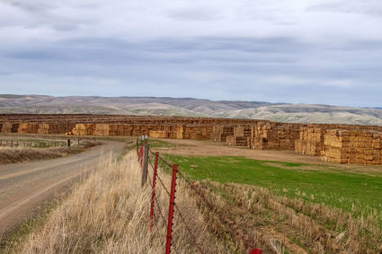 s_topTEMP425x425-5239