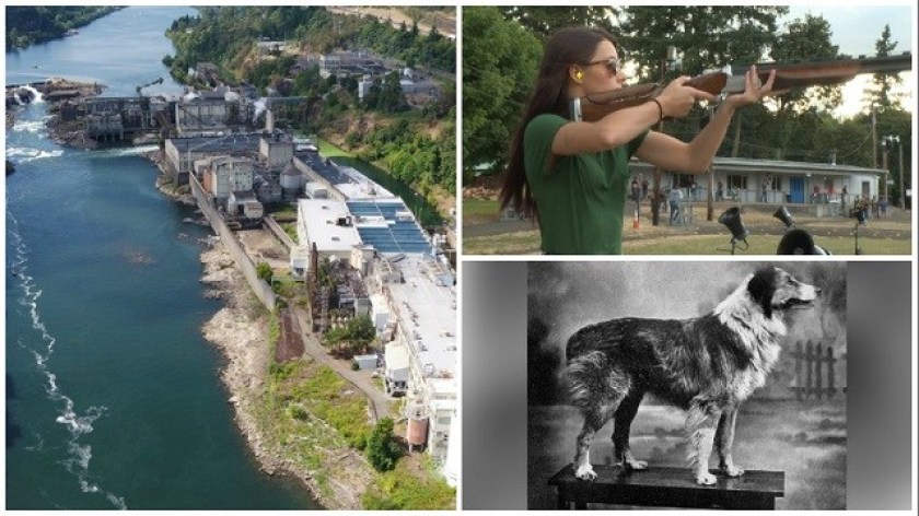 top-special-reports-2019